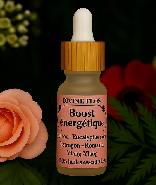 Synergie Boost énergétique