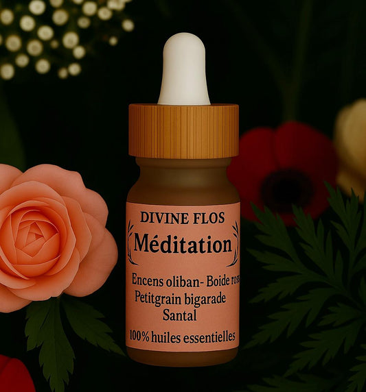 Synergie Méditation